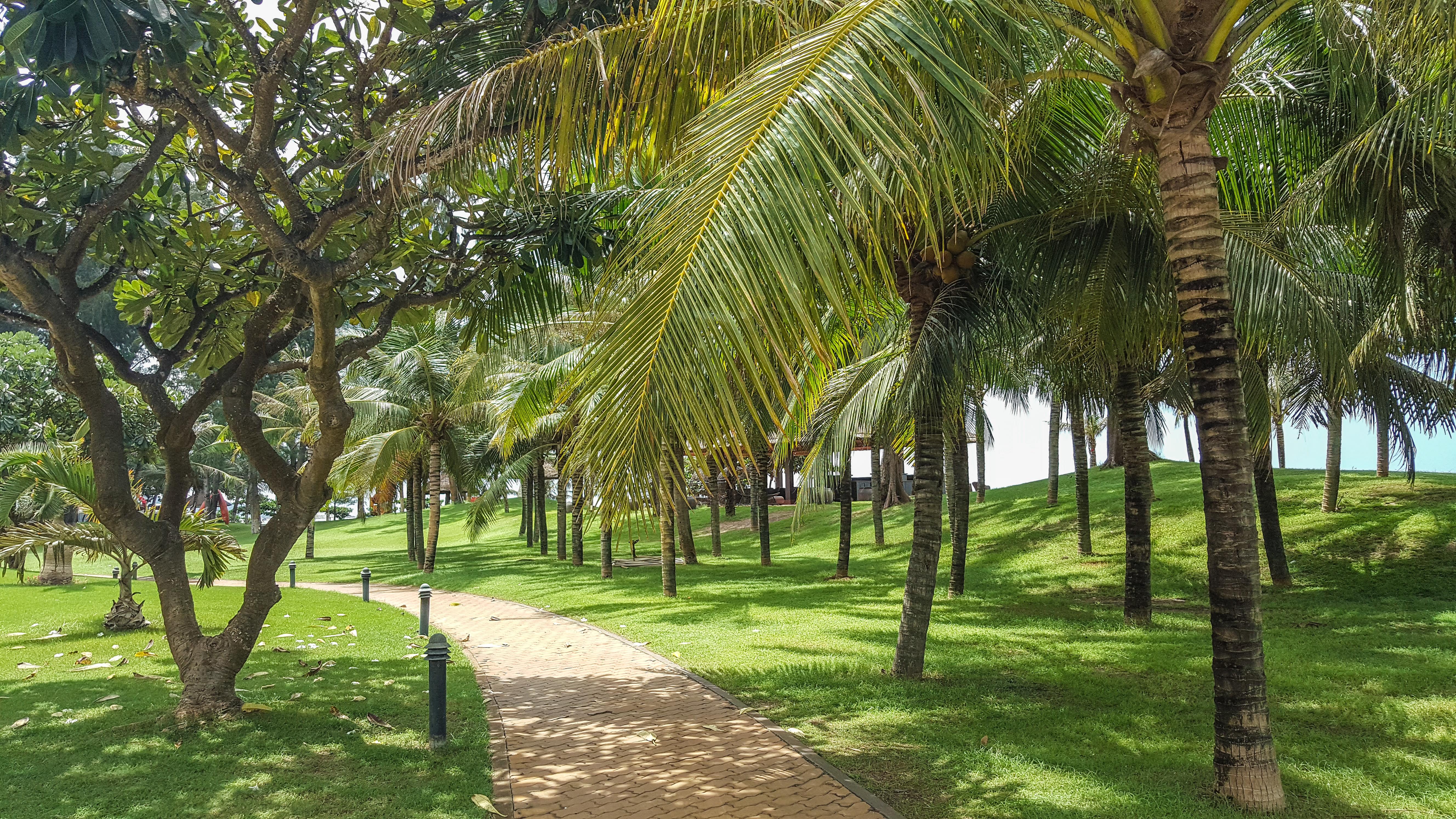 Phan Thiet Ocean Dunes Resort Extérieur photo
